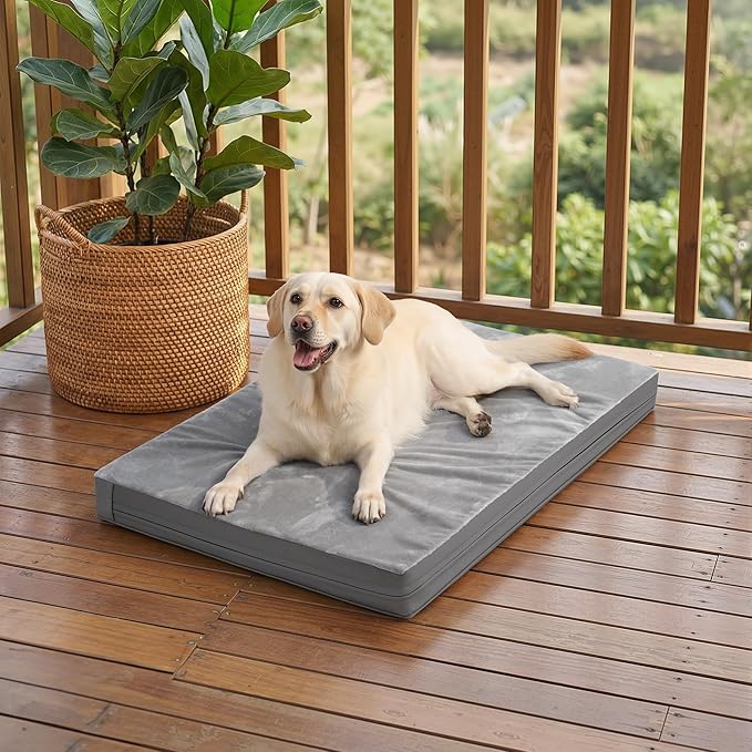 Waterproof XXL Dog Beds Large Sized Dog, Outdoor Orthopedic Washable Crate Pad 48 inch, Jumbo XXLarge Foam Pet Bed with Removable Cover Reversible, Durable Anti-Slip Kennel Pad, 47"x29", Gray