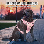 Rnivvi No Pull Dog Harness, Cute Reflective Large Sized Puppy Harness, Adjustable Soft Padded Vest for Large Dogs, Heavy Duty Pet Vest with Easy Control Handle for Walking Training, Pink
