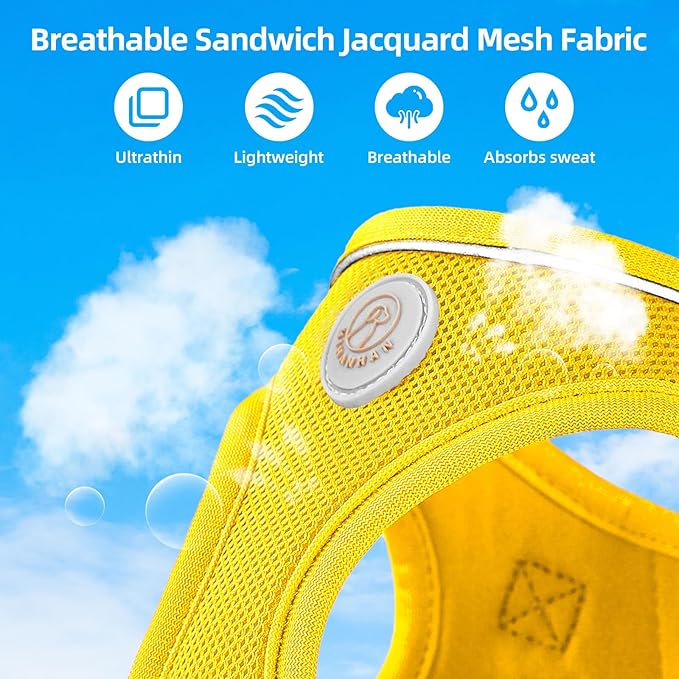 Soft Mesh Dog Harness and Leash Set, No Pull Puppy Harness and Leash Set, Reflective Step in Harness for Small Medium Dogs, Easy Walk Escape Proof Vest Harnesses (Yellow, XXS)