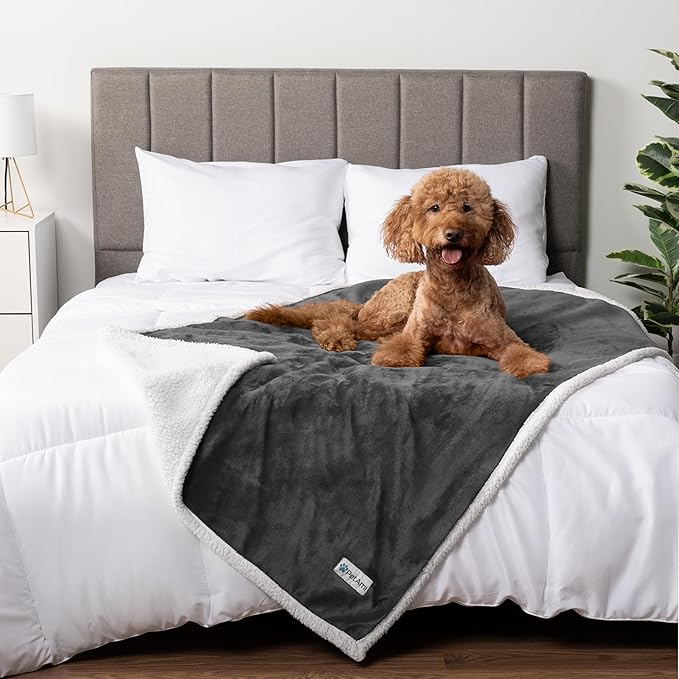 PetAmi Waterproof Dog Blanket for Medium Large Dog Puppy Cat Throw for Couch Cover Leakproof Protection, Sherpa Fleece, Reversible Soft Washable 60x40 Charcoal Gray