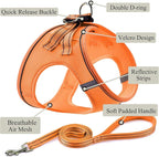 Dog Harness with Leash Set, No Pull Adjustable Reflective Step-in Puppy Pet Vest Harnesses for Small Medium Large Dogs and Cats,Orange XS