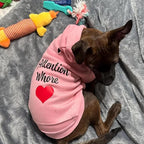 Custom Text & Logo Dog Hoodie, Embroidery Pet Sweaters for Small Dogs, Customized Pet Clothes Warm Winter Outfit for Dogs, Bright Puppy Sweatshirt, Pets Birthday Outfit, Dog Lovers Gifts