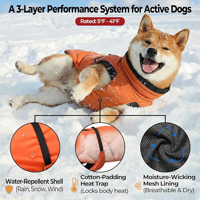 Dog Winter Coat, Warm Puffer Jacket with Fur-Safe Buckle & Leash Hole for Cold Weather, Water-Repellent Snow Vest, Breathable Thermal Apparel for Hiking & Active Dogs (Aurantium, Large)