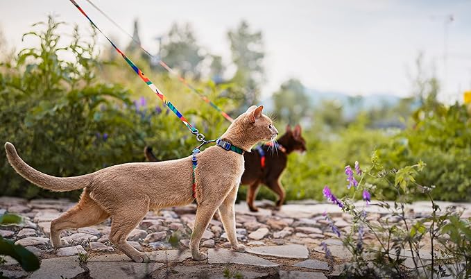 pidan Cat Harness and Leash Set, Cats Escape Proof - Adjustable Kitten Harness for Large Small Cats, Lightweight Soft Walking Travel Petsafe Harness / Green /lime