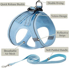 Dog Harness with Leash Set, No Pull Adjustable Reflective Step-in Puppy Pet Vest Harnesses for Small Medium Large Dogs and Cats,Sky Blue S