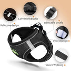 Step in Dog Harness with Leash Set, Adjustable Soft Padded and Breathable Mesh for Small Sized Dog, Reflective No Pull No Choke Cat Vest Harness, Easy Control Pet Vest, Black L