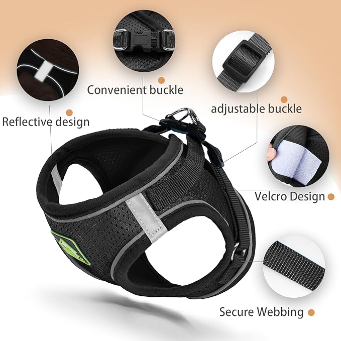 Step in Dog Harness with Leash Set, Adjustable Soft Padded and Breathable Mesh for Small Sized Dog, Reflective No Pull No Choke Cat Vest Harness, Easy Control Pet Vest, Black L
