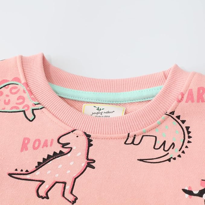RETSUGO Toddler Baby Girls Sweatshirts Casual Pullover Crewneck Winter Long Sleeve Tops Shirts Clothes 3T-8T