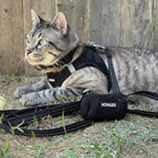 Best Pet Supplies Voyager Step-in Air All Weather Mesh Harness and Reflective Dog 5 ft Leash Combo with Neoprene Handle, for Small, Medium and Large Breed Puppies - Set (Black), S
