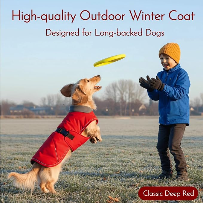Waterproof & Windproof Dachshund Jackets with Adjustable Bands, Thick Weiner Vest Clothes for Large Sausage Dog, Weenie Winter Puffer Coat, Outdoor Snowsuit for Dachshunds, Small Medium Dog(Red, L)