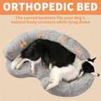 Orthopedic Memory Foam XXL Dog Bed for Large Sized Dog - Washable & Waterproof & Removable Cover -Round Calming Bed for Anxiety Relief (51 x 34 x 8 Inch)
