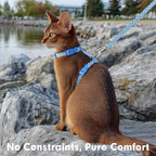 azuza Cat Harness and Leash Set for Safe Walking and Travel, Escape Proof Cat Harness, Lightweight Soft and Comfortable, Adjustable Kitten Harness for Small Medium Large Cats, Blue Plaid