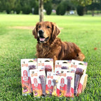 Nylabone Textured Bone Power Chew Toy for Dogs, Durable & Tough Dog Toys for Aggressive Chewers, Beef Jerky Flavor, Medium Dogs - Up to 35 lbs, 1 Count