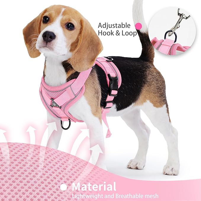 No Pull Dog Harness with Leash Set for Medium Sized Dog, Reflective Adjustable No Choke Front Clip Cat Vest Harness with Breathable Mesh, Comfortable Soft Padded Pet Vest, Pink XL