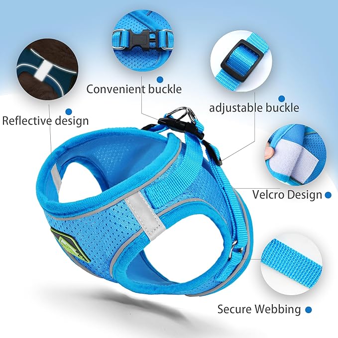 Step in Dog Harness with Leash Set, Adjustable Soft Padded and Breathable Mesh for Small Sized Dog, Reflective No Pull No Choke Cat Vest Harness, Easy Control Pet Vest, Blue L