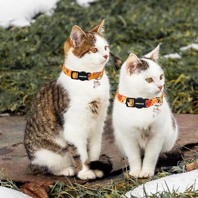 ARING PET 2 Pack Fall Cat Collars-Cute Breakaway Cat Collar with Bell & Pendant, Adjustable Fall&Halloween Kitten Collars with Safety Buckle for Girl and Boy Cats