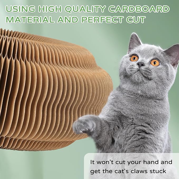 2Pack Magic Organ Cat Scratching Board Cat Accordion Toy Cats Scratching Post Ball Track, Kitten Fun Intelligence Physical Exercise Educational Toy