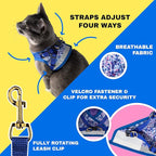 Travel Cat Harness and Leash Set - Adjustable Fit Mesh Cat Harness and Reflective Strap - Comfort Walking Vest for Kitten for Outdoor Walking, Hiking (Small, Groovy)