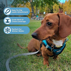 Best Pet Supplies - All Weather Plush, Reflective, No Pull Harness for Small, Medium Dogs, Cats - Secure with Hook & Loop Fastener, Buckle, Double D-Rings - Turquoise Plush, XS