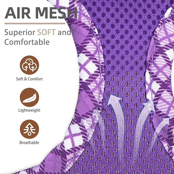 PUPTECK Dog Harness and Leash Set for Small Medium Dogs No Pull Step-in Soft Mesh Puppy Cat Vest Harnesses Reflective at Night, Purple M