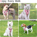 No Pull Dog Harness with Leash Set for Small Sized Dog, Reflective Adjustable No Choke Front Clip Cat Vest Harness with Breathable Mesh, Comfortable Soft Padded Pet Vest, Pink S
