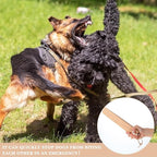 Barydat 4 Pcs Break Stick Dog Fight 10.04'' x 1.77'' x 0.79'' Dog Stick Toy with Ropes for Training German Shepherd Most Dogs