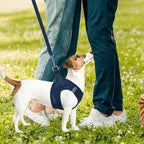 PUPTECK Adjustable Dog Harness Collar and Leash Set Step in No Pull Pet Harness for Small Medium Dogs Puppy and Cats Outdoor Walking Running, Soft Mesh Padded Reflective Vest Harnesses