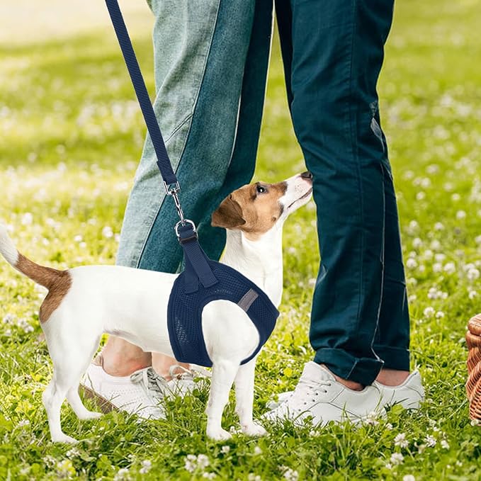 PUPTECK Adjustable Dog Harness Collar and Leash Set Step in No Pull Pet Harness for Small Medium Dogs Puppy and Cats Outdoor Walking Running, Soft Mesh Padded Reflective Vest Harnesses