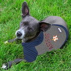 Pets First MLB Hoodie for Dogs & Cats - Houston Astros Dog Hooded T-Shirt, Medium. - MLB Team Color Hoody (AST-4044-MD)