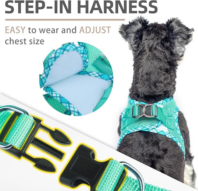 PUPTECK Dog Harness and Leash Set for Small Medium Dogs No Pull Step-in Soft Mesh Puppy Cat Vest Harnesses Reflective at Night, Green S