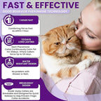 4 Pack Calming Collars for Cats: Pheromone Cat Calming Collars for Cats, Helps Promote Relaxation and Comfort