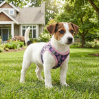 Step in Dog Harness and Leash Set, Reflective Adjustable No Pull Dog Harness for Extra-Small/Small Dogs Puppy and Cats, Soft Padded Mesh Vest Harnesses for Girl and Boy Pets(Pink Floral,XS)