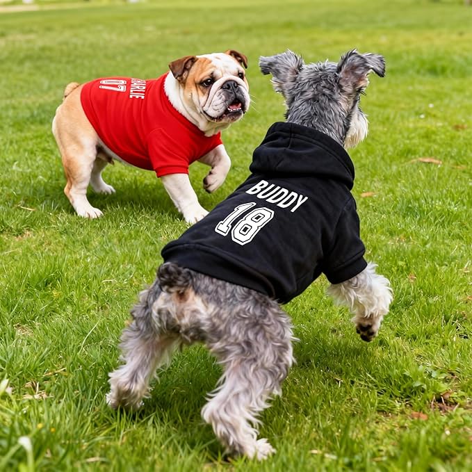 Custom Name Dog Hoodie, Personalized Pet Name Sweatshirt for Small Medium Large Dogs, Custom Dogs Winter Outfits