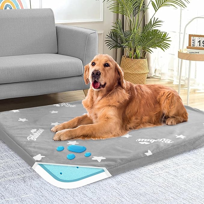 Waterproof Dog Bed for Large Dog, Memory Foam Orthopedic Dogs Beds & Furniture for Large Sized Dogs, Anti-Slip & Washable Puppy Mat for Sleeping, Plush Flannel Top Pet Beds, Grey