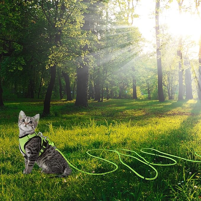 Reflective Cat Leash -30FT Cat Cable Out Escape Proof Walking Leads Yard Long Durable Safe Leash Traning Play Outdoor for Puppies/Kittens/Small Animals(Green)