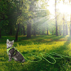Reflective Cat Leash -15FT Cat Cable Out Escape Proof Walking Leads Yard Long Durable Safe Leash Traning Play Outdoor for Puppies/Kittens/Small Animals(Green)
