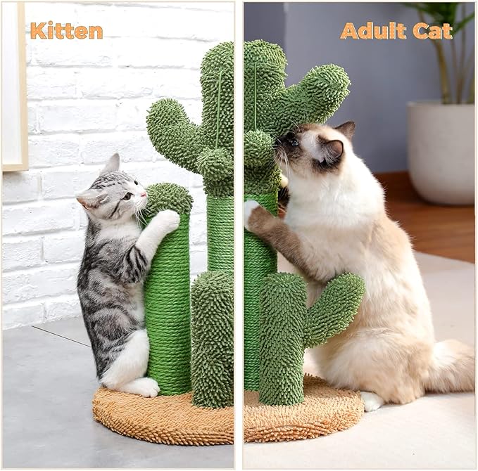 PAWZ Road Cat Scratching Post Cactus Cat Scratcher Featuring with 3 Scratching Poles and Interactive Dangling Ball -Medium 23 Inches