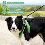 ROYPET Step-in Air Dog Harness, All Weather Mesh Step in Vest Harness for Small and Medidum Dogs and Cats, Adjustable Soft Padded Dog Vest with Easy Control Handle for Dogs Pets (Green, XS)