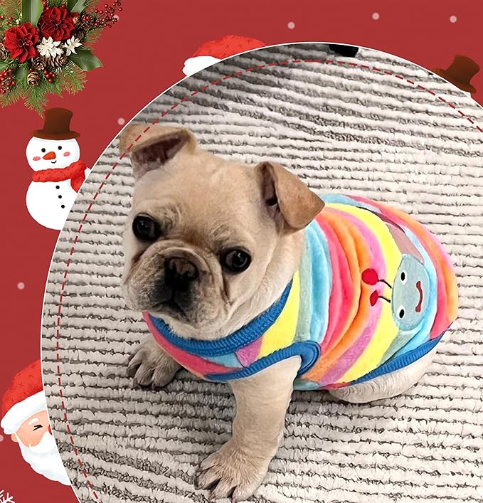 2 Pieces XXS Chihuahua Cute Small Dog Puppy Winter Extra Small Dachshund Sweater Fleece Pet Clothing