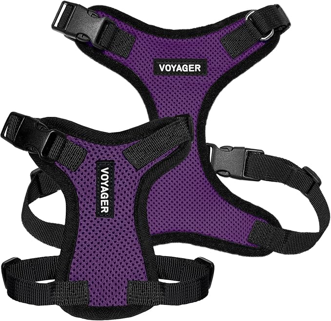 Voyager Step-in Pet Harness - All Weather Mesh, Adjustable Step in Harness for Cats and Dogs by Best Pet Supplies - Purple/Black Trim, XS
