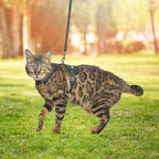 PUPTECK Cat Harness and Leash Set Escape Proof, Reflective Adjustable Soft Mesh Kitten Vest Harness for Walking Travel, Black, S