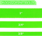 HIKISS Long Dog Leash Obedience Recall Training Agility Lead with Thickening Material for Large Dog - 15ft 20ft 30ft 50ft 100ft Training Leash(Green 100ft)