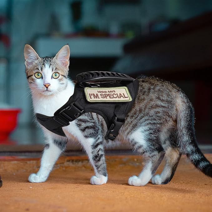 AIWAI Tactical Cat Harness for Walking Escape Proof, Adjustable Pet Vest Harness, Soft Mesh with Control Handle for Large Cat Small Dog, Gift with Patch