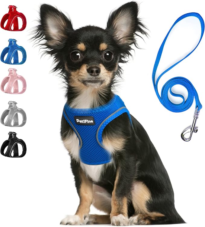 PetiFine Step in Small Dog Harness and Leash Set, Breathable All Weather Air Mesh Reflective Escape Proof, Step-in Vest Harnesses for Puppy(XS, Baby Blue)