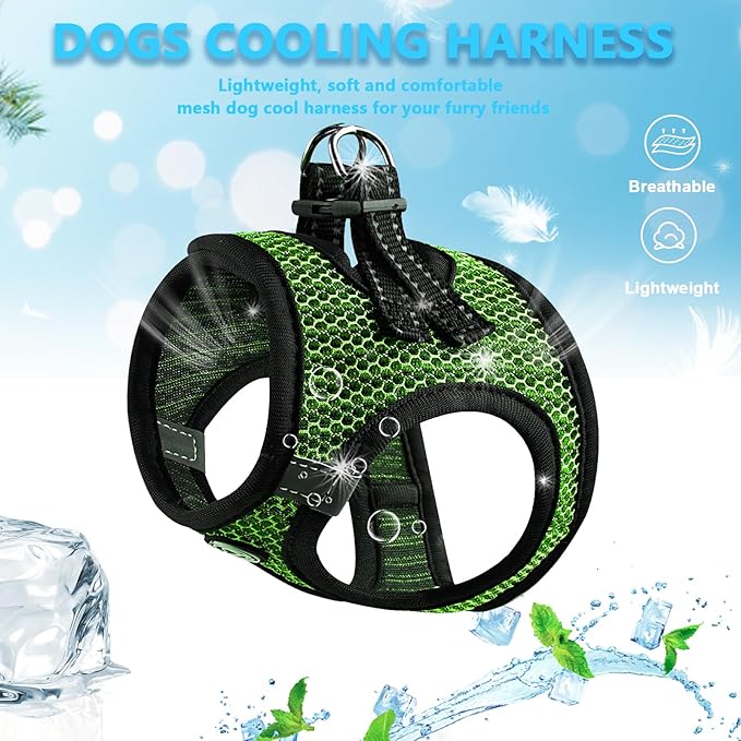 No Pull Small Dog Harness Tiny Dog Harness for Small Dogs Cats Chihuahua Harness Lightweight Extra Small Dog Harness Vest Reflective Step in Air Mesh Puppy Harness (Green, X-Small)