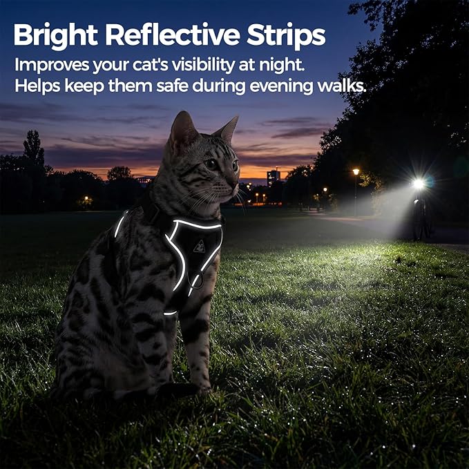 Cat Harness and Leash Set Escape Proof Tactical Small Kitten Harness Emotional Support Cat Vest, Grey, S
