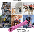 Long Dog Leash for Training 20Ft-Reflective Nylon Rope with Swivel Hook-Recall Agility Lead for Large Small Medium Dogs Outside Walking Hiking-Pink