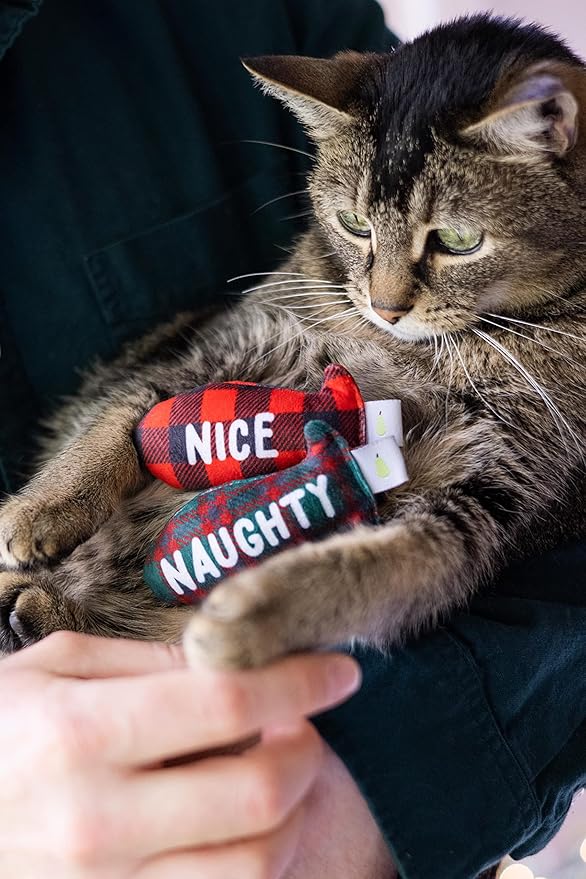 Pearhead Naughty Or Nice Christmas Cat Toy Set, Holiday Pet Owner Gift, Christmas Must Have Toy Set, Cat Teaser Toy, with Catnip Pouch, Set of 2