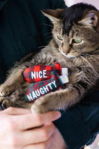 Pearhead Naughty Or Nice Christmas Cat Toy Set, Holiday Pet Owner Gift, Christmas Must Have Toy Set, Cat Teaser Toy, with Catnip Pouch, Set of 2