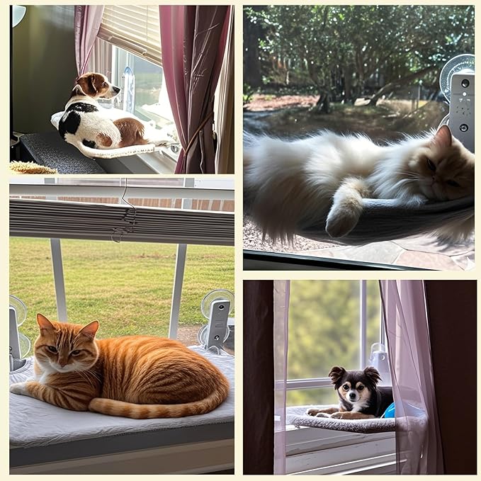 Cat Window Perch, Cordless Foldable Cat Hammock for Indoor Cats with Upgraded Suction Cups Strong Metal Frame Holds Up to 44lbs (M 1PC)